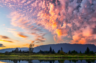 Landscape with green grass, a mountain, a yellow sunset sky, and a reflecting lake.